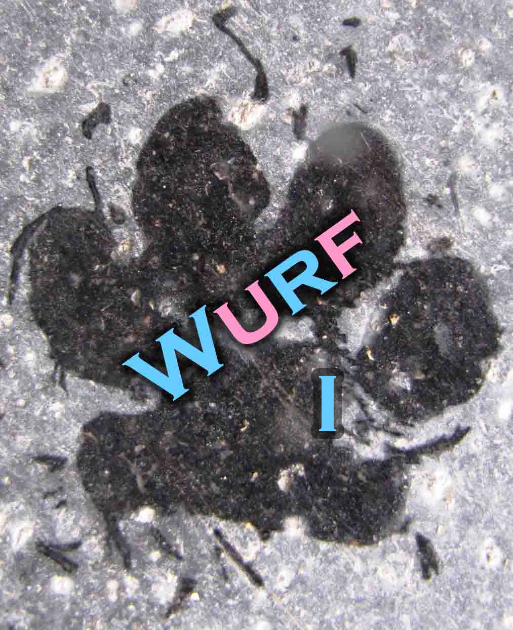Wurf I